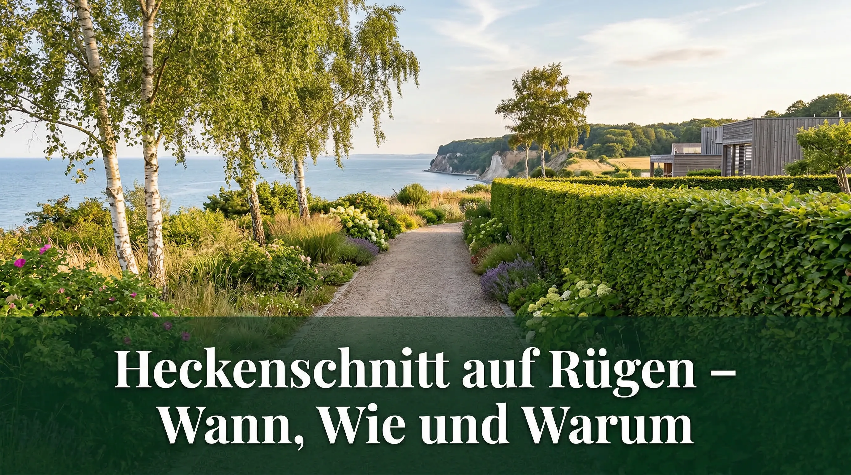 Heckenschnitt auf Rügen – Wann, Wie und Warum