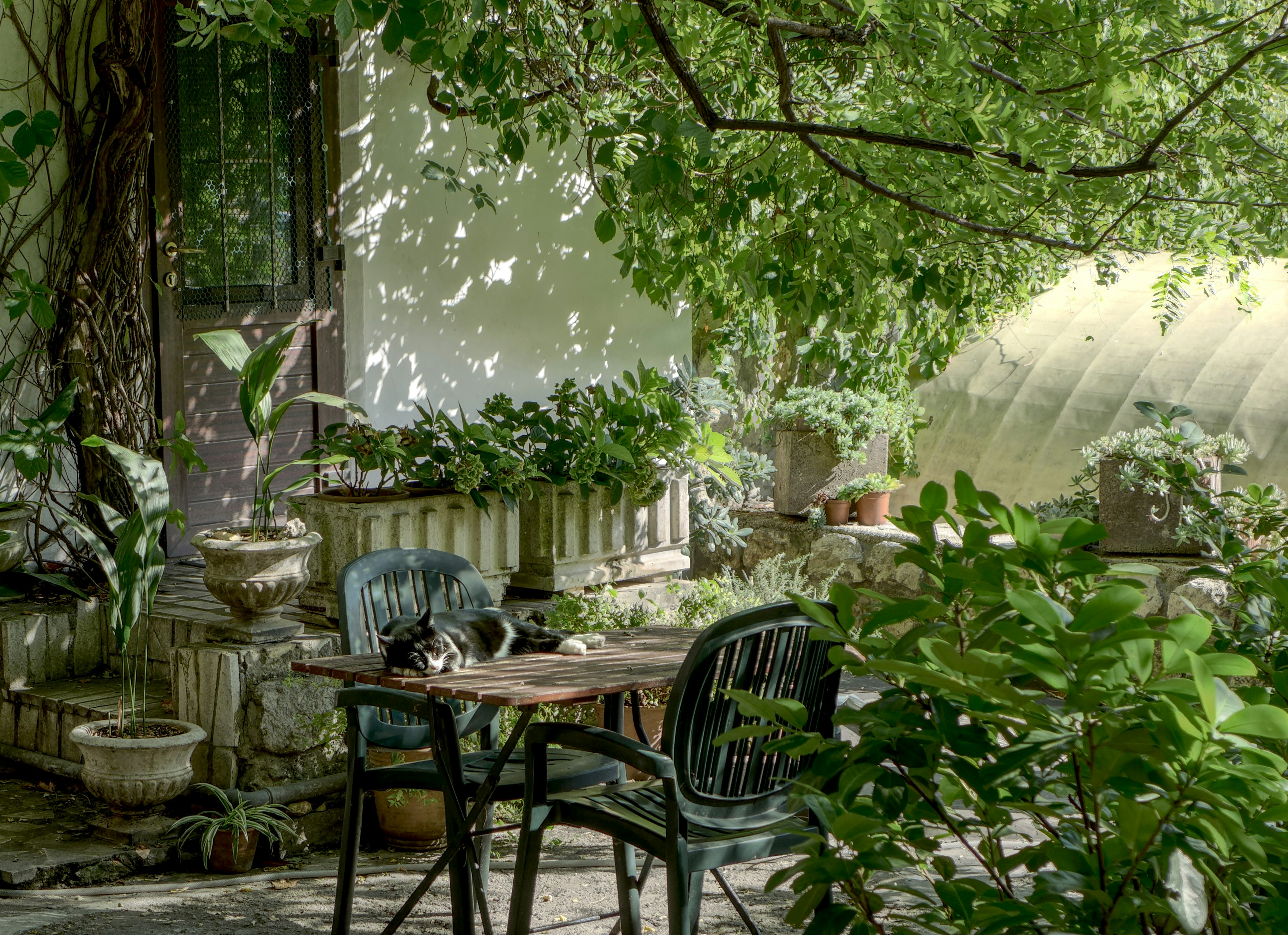 Gartengestaltung