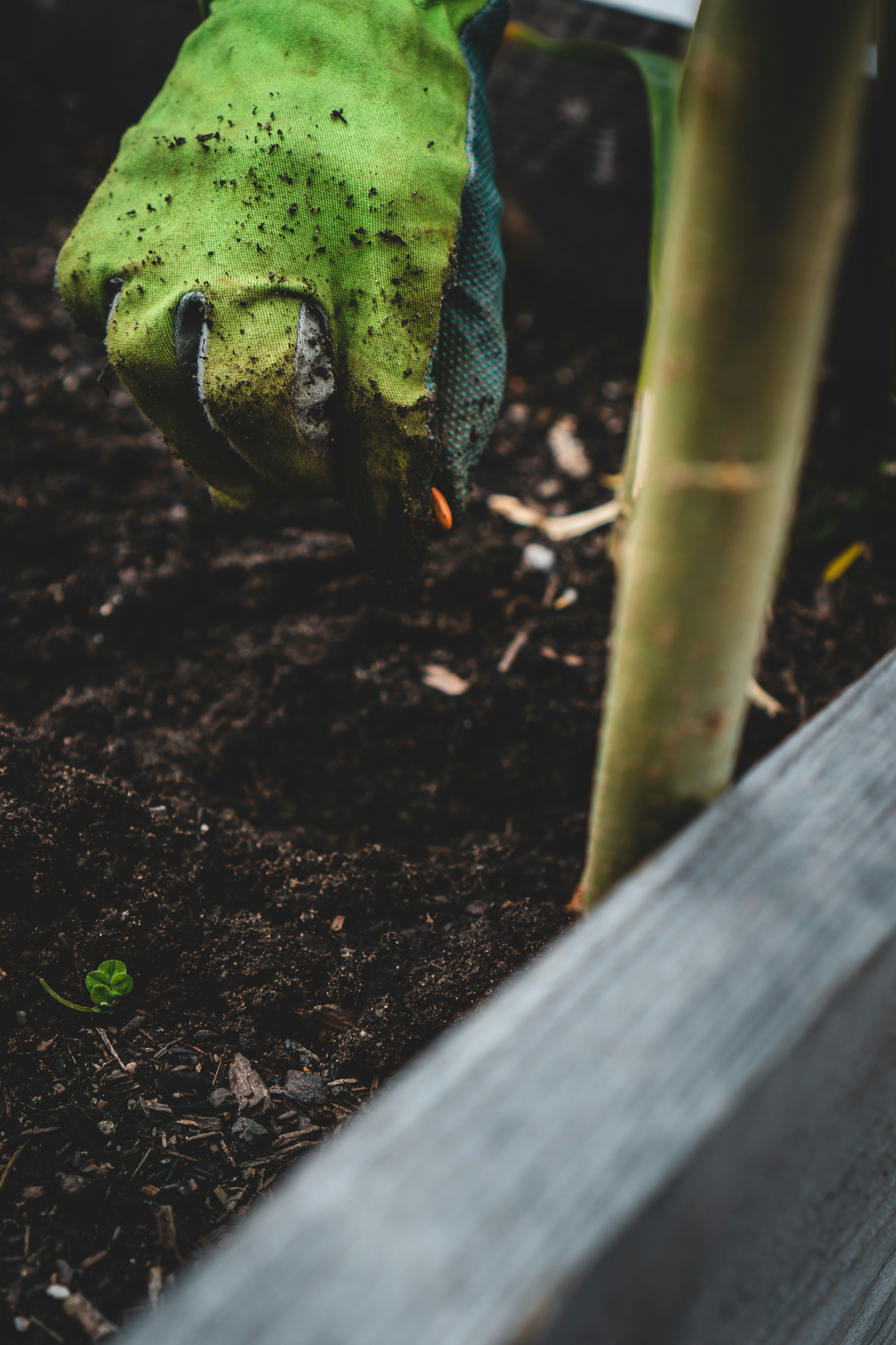 Gartengestaltung